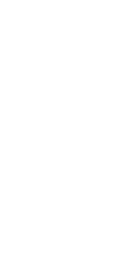 designelement 1